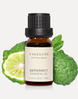 Bergamot Essential Oil - 10ml - VAUCLUSE