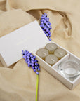 Musk Tealights and Candle Holder Set - VAUCLUSE