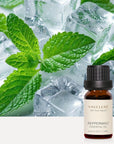 Peppermint Essential Oil - 10ml - VAUCLUSE