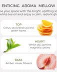 White Tea Essential Oil - 10ml - VAUCLUSE