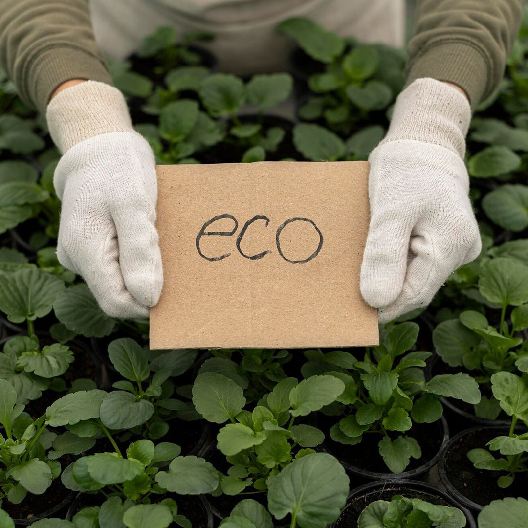 Eco-Friendly Greeting Cards: Sustainable Practices and Materials - VAUCLUSE