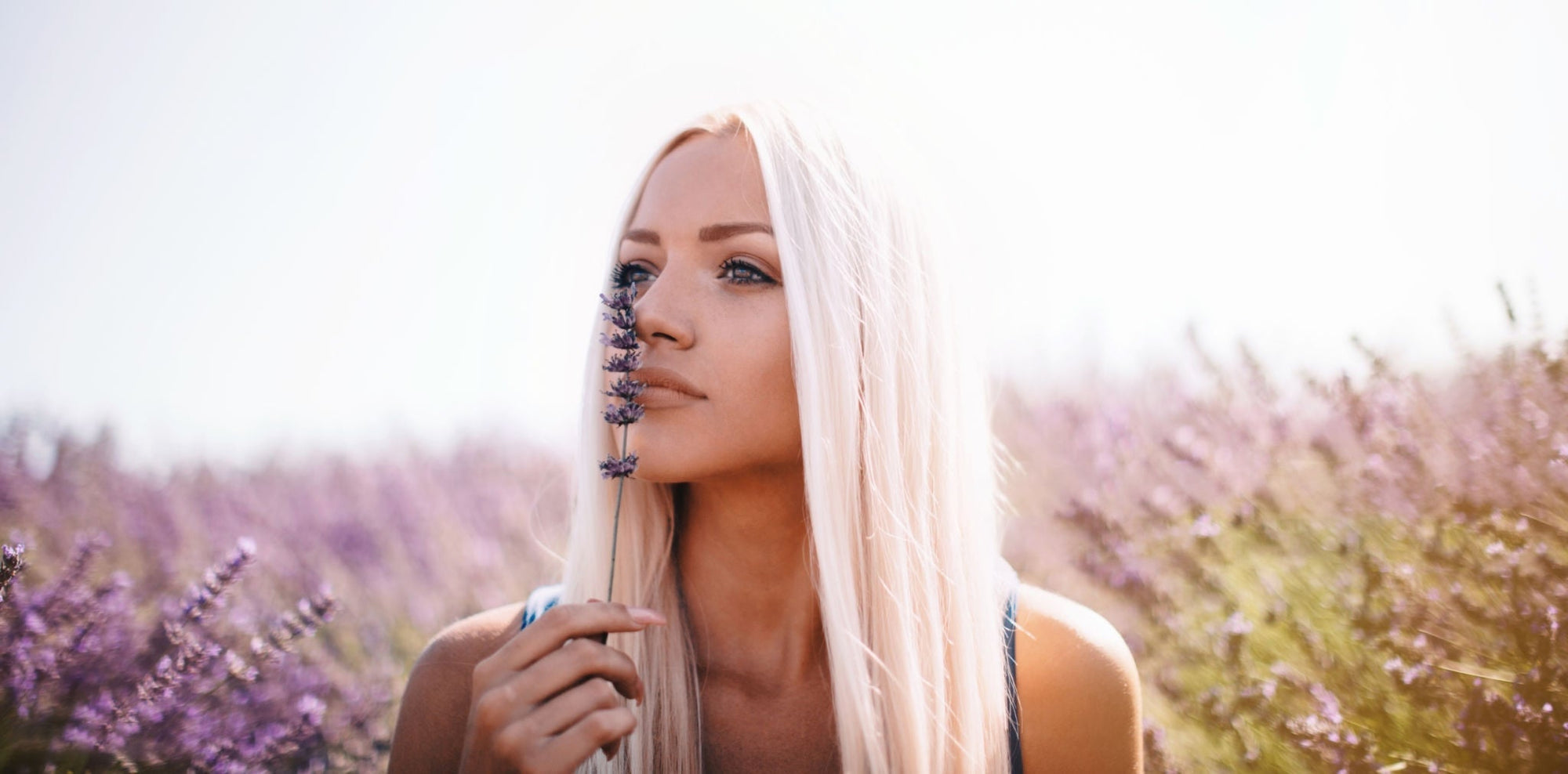 Bath and Body - VAUCLUSE