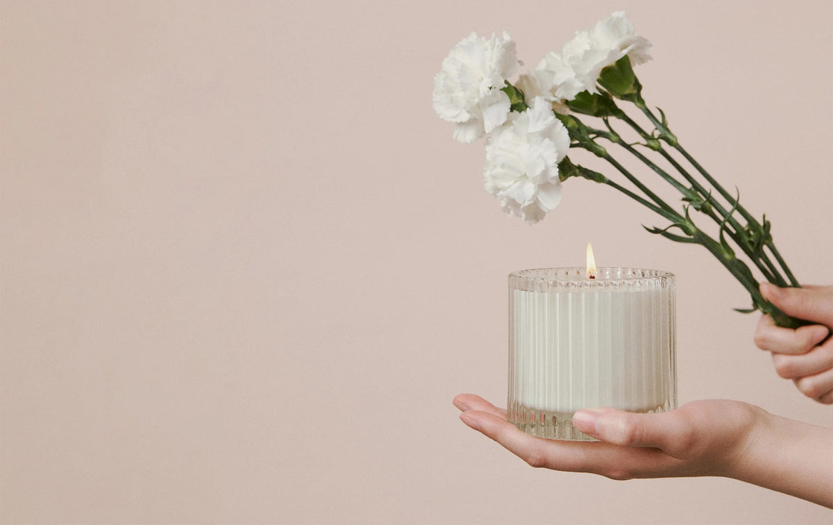 Elevate Your Space with Tuberose Essential Oil – VAUCLUSE