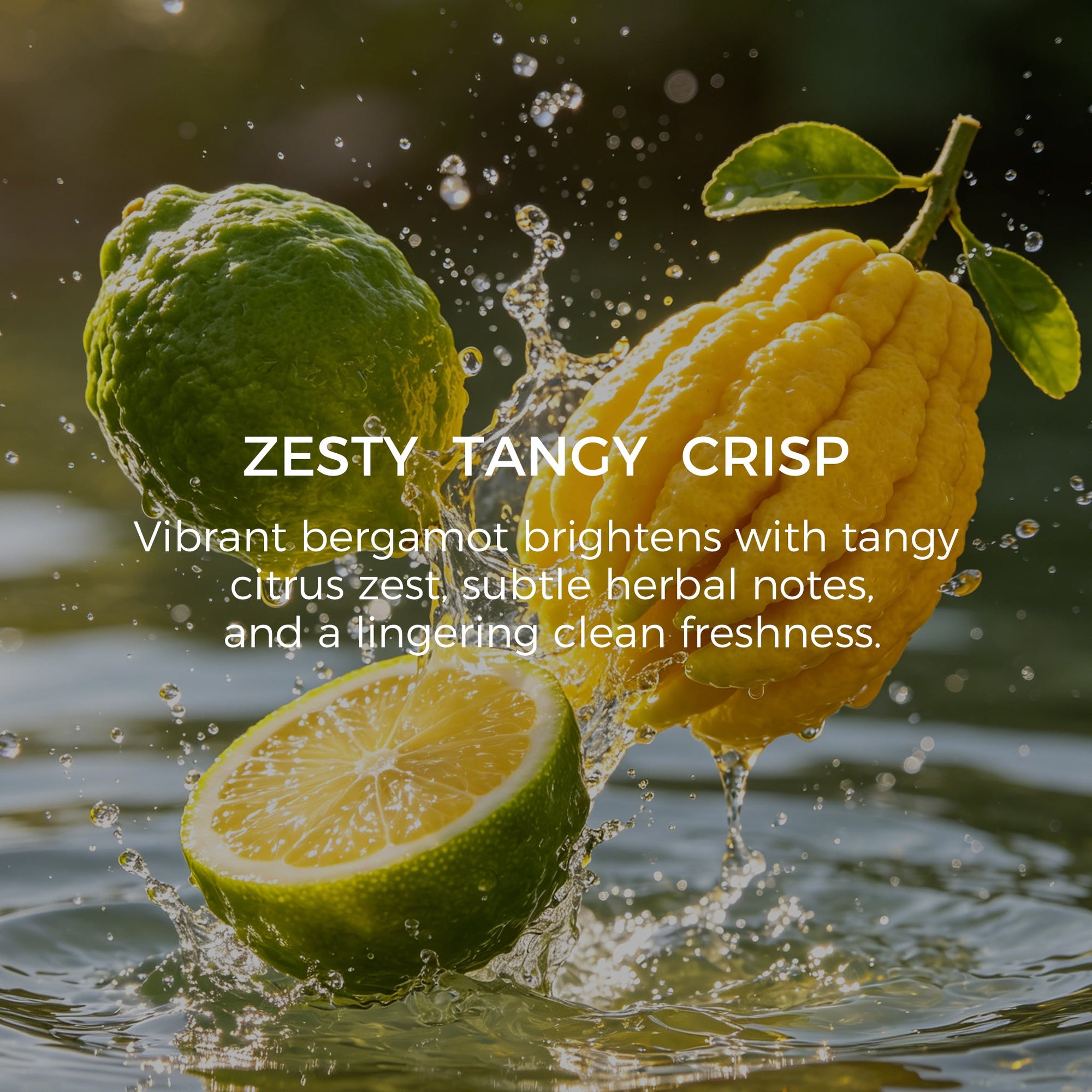 Bergamot Essential Oil - 10ml - VAUCLUSE