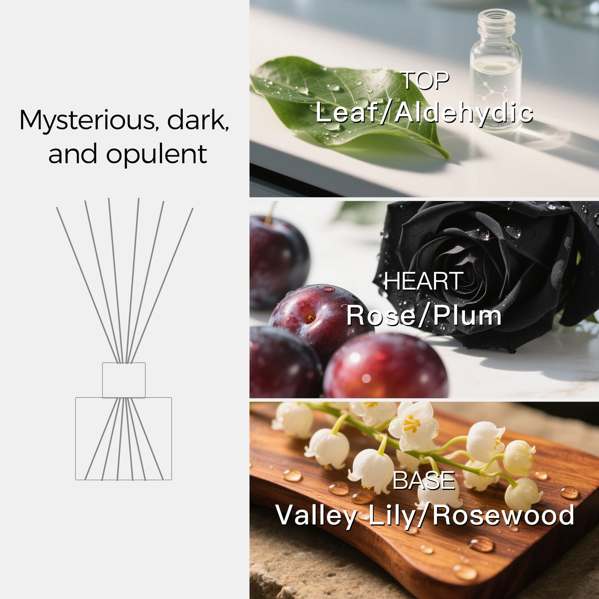 Black Rose Scented Reed Diffuser - VAUCLUSE