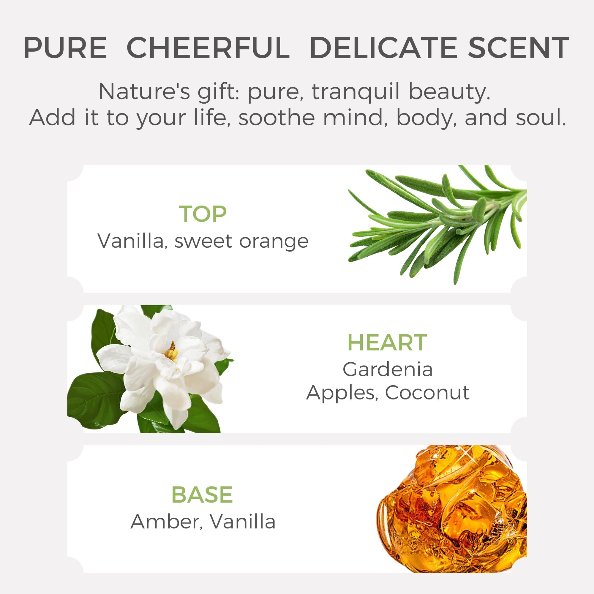 Gardenia Essential Oil - 10ml - VAUCLUSE