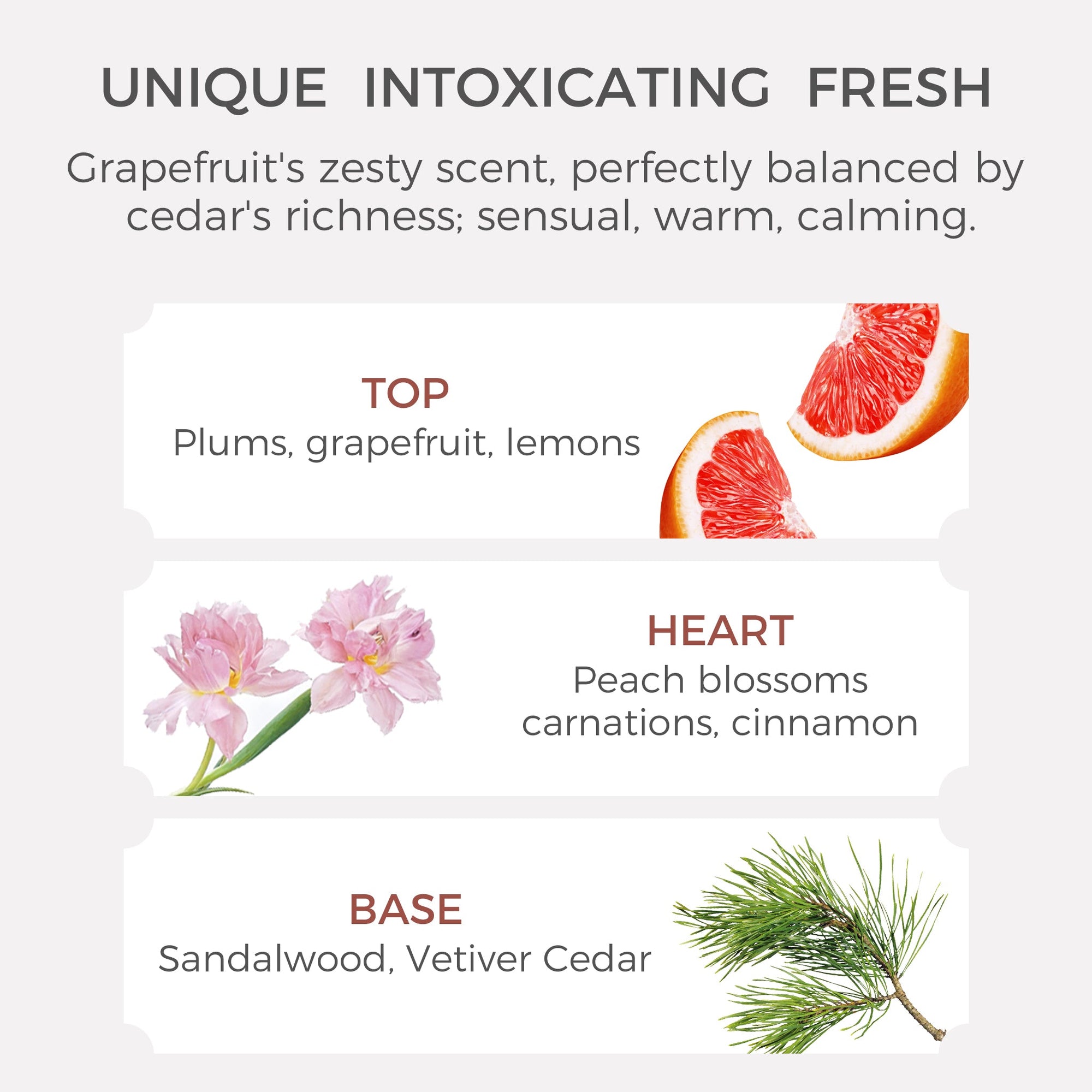 Grapefruit & Cedar Essential Oil - 10ml - VAUCLUSE