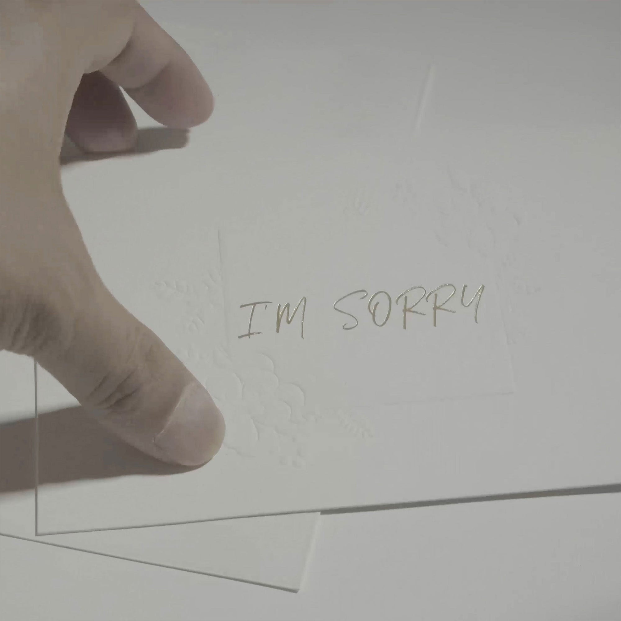 A close-up of a hand presenting a minimalist white "I'm Sorry" note card, highlighting its clean typography and premium paper texture.