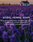 Lavender Essential Oil - 10ml - VAUCLUSE