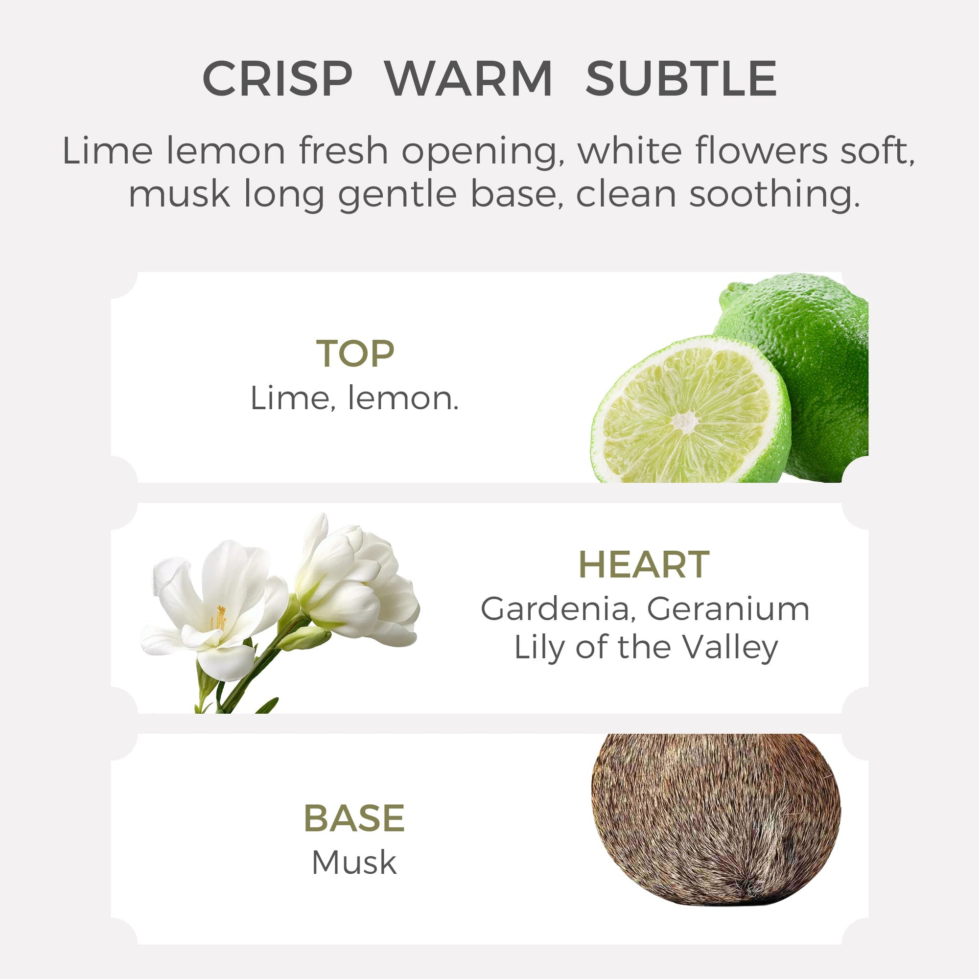 Lily & Lime Musk Essential Oil - 10ml - VAUCLUSE
