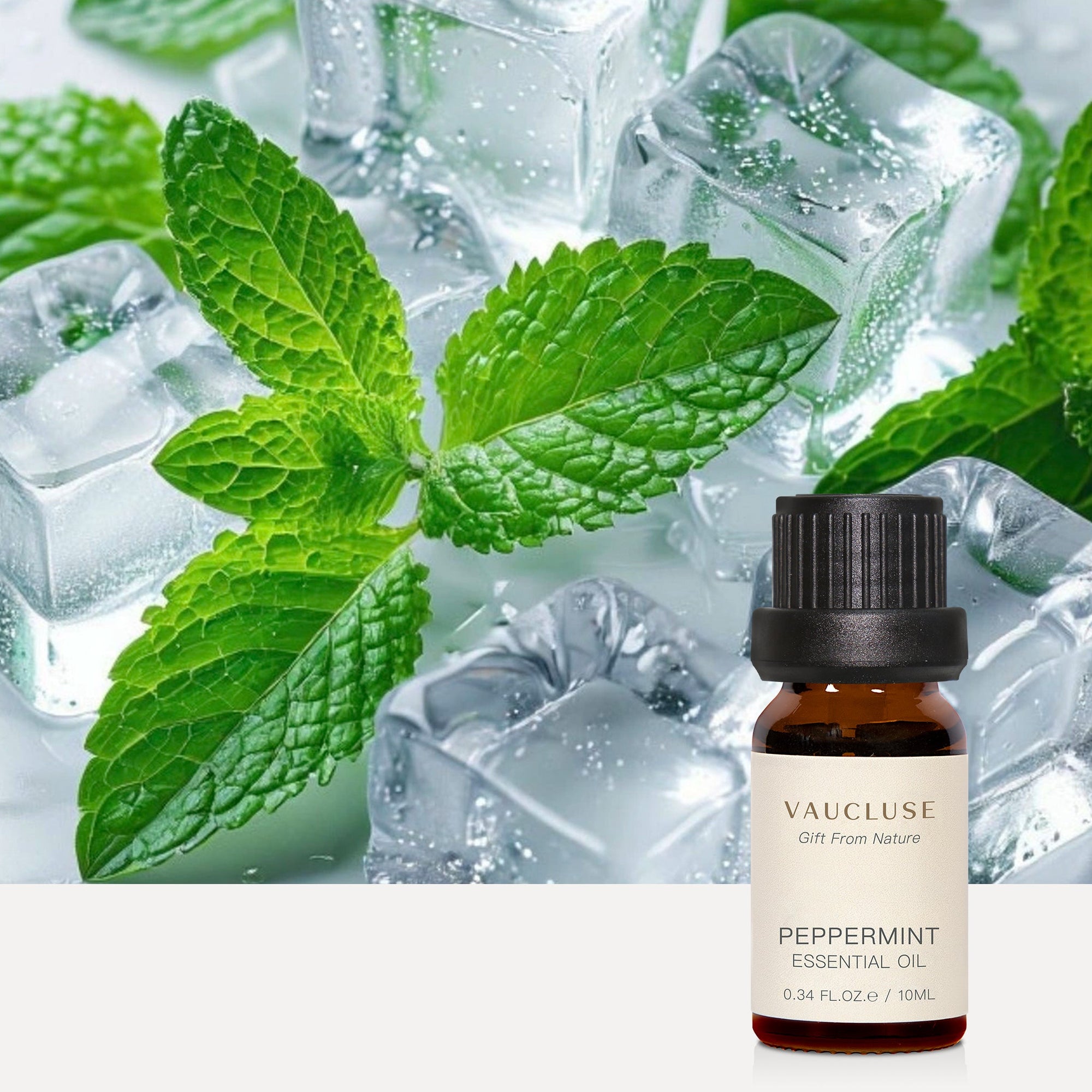 Peppermint Essential Oil - 10ml - VAUCLUSE
