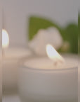 Jasmine Tealights and Candle Holder Set (Flower shape)