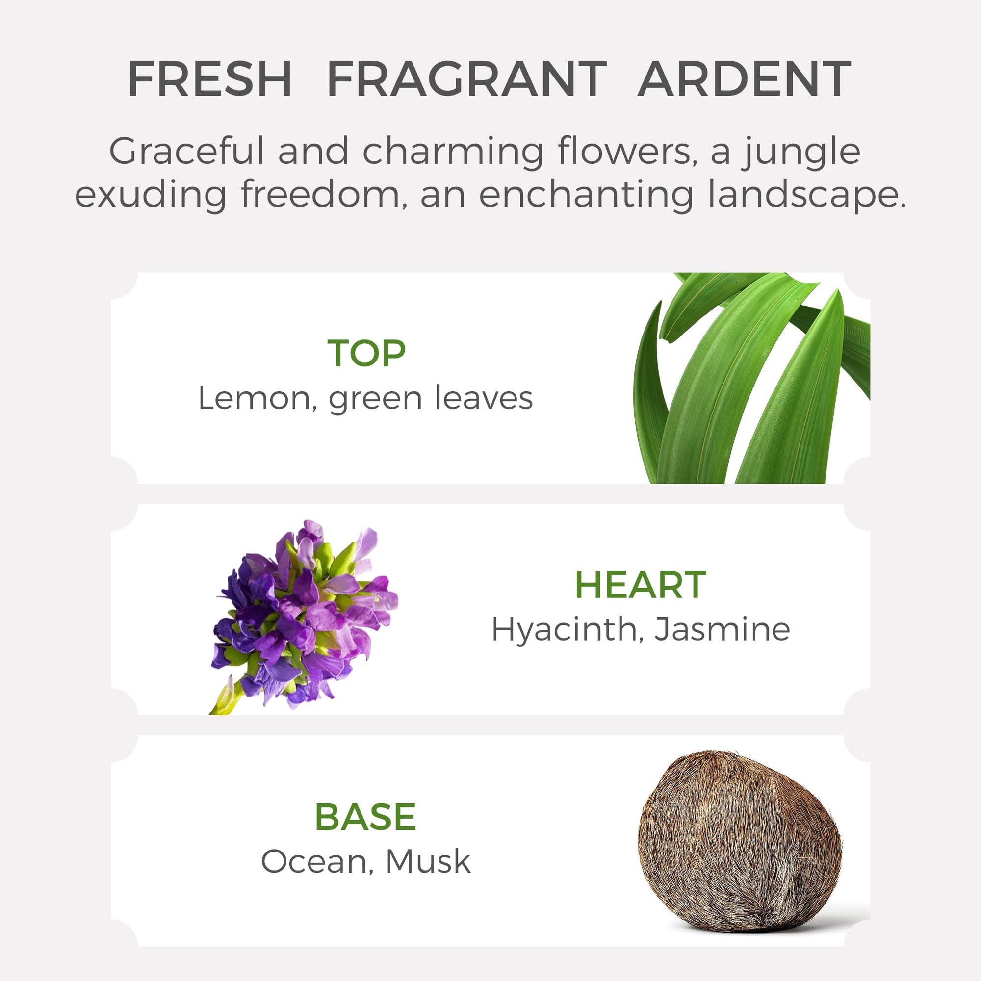 Spring Hyacinth Essential Oil - 10ml - VAUCLUSE