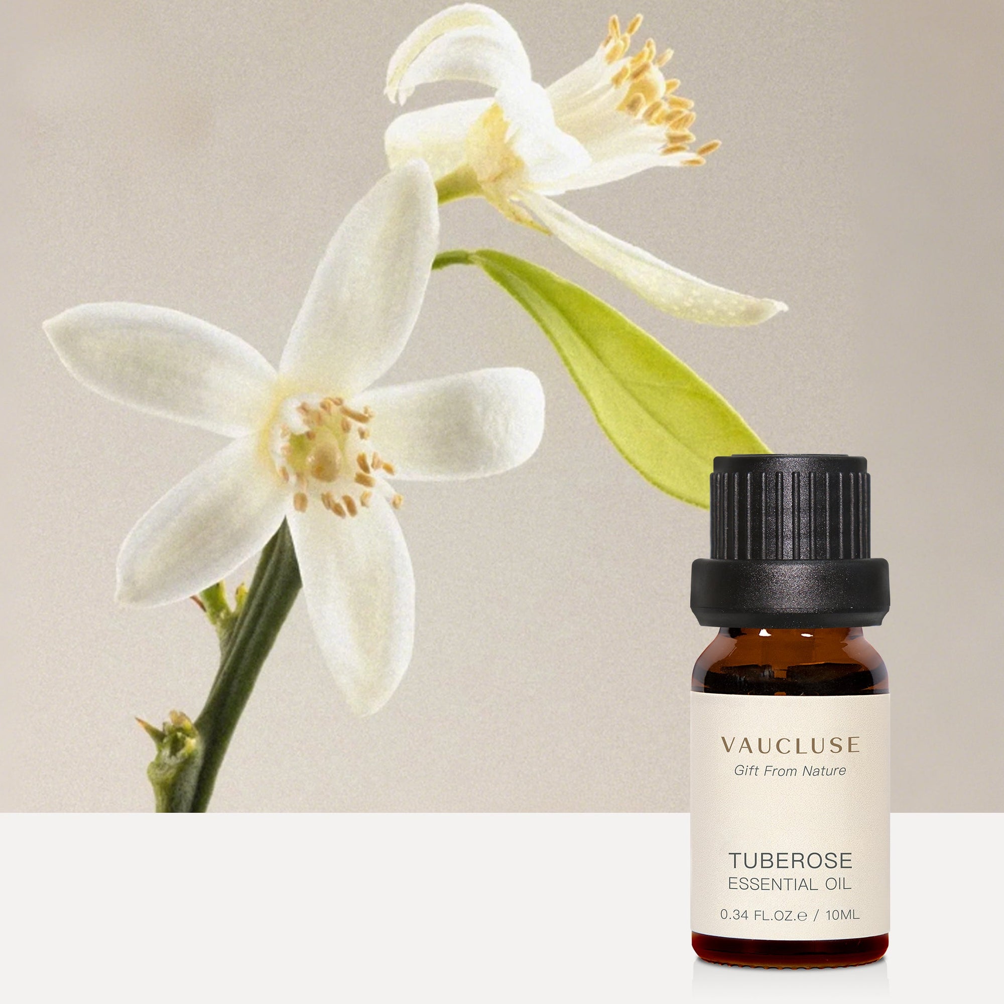 Tuberose Essential Oil - 10ml - VAUCLUSE