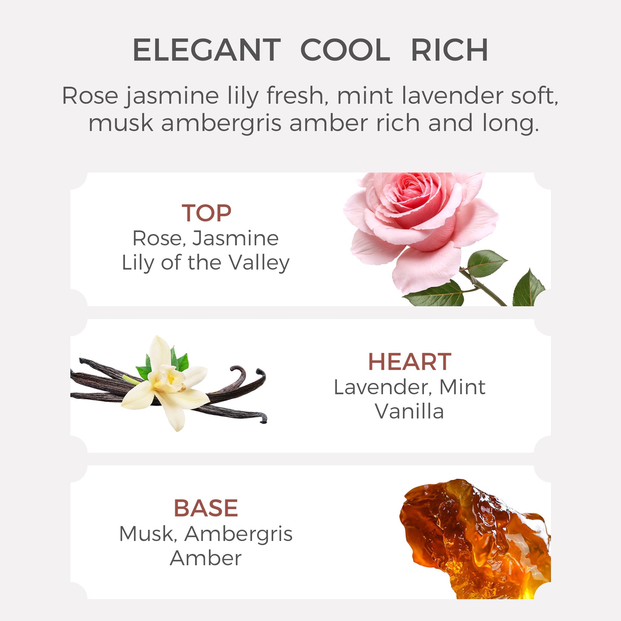 Vanilla Lavender & Musk Essential Oil - 10ml - VAUCLUSE
