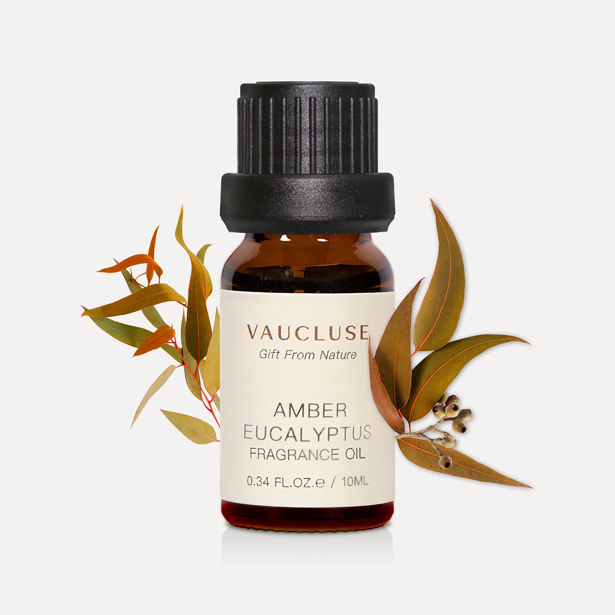 A 10ml amber glass bottle of Vaucluse Amber Eucalyptus Essential Oil flanked by warm-toned, earthy eucalyptus leaves and seed pods.