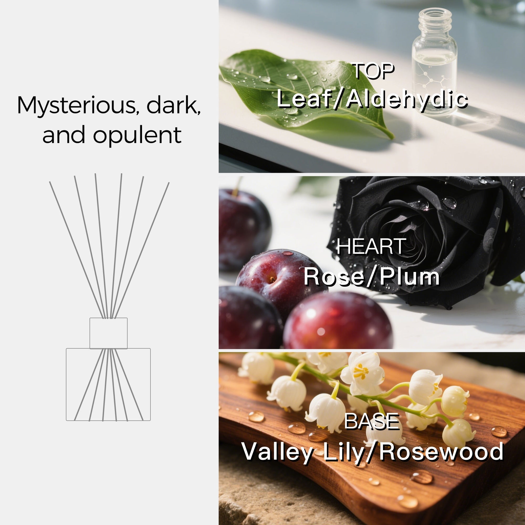A three-tier fragrance note chart for the reed diffuser displaying top notes of leaf and aldehydic, heart notes of rose and plum, and base notes of lily of the valley and rosewood.