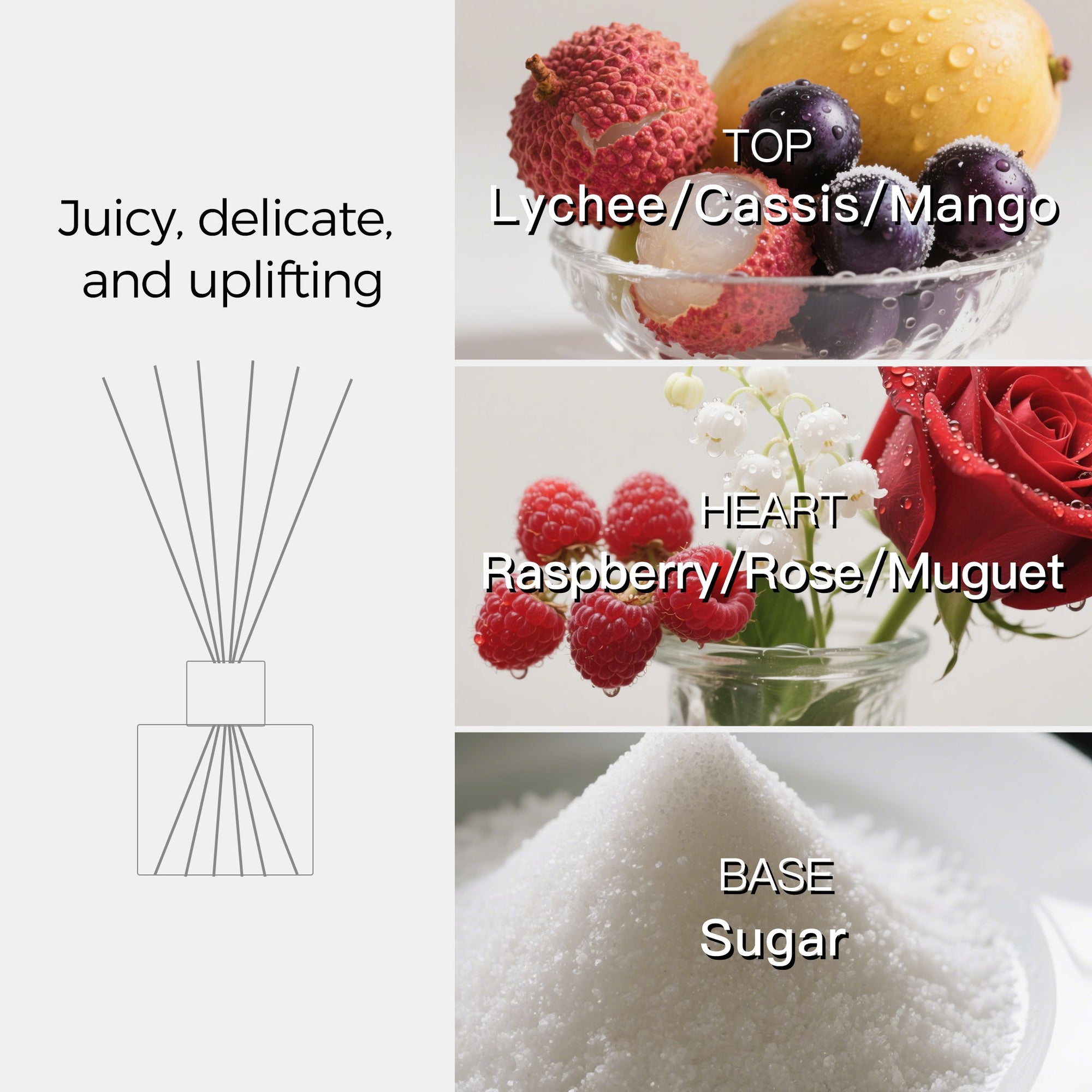 A fragrance note chart for the lychee reed diffuser showing top notes of lychee, cassis, and mango, heart notes of raspberry, rose, and lily of the valley, and a base note of sugar.