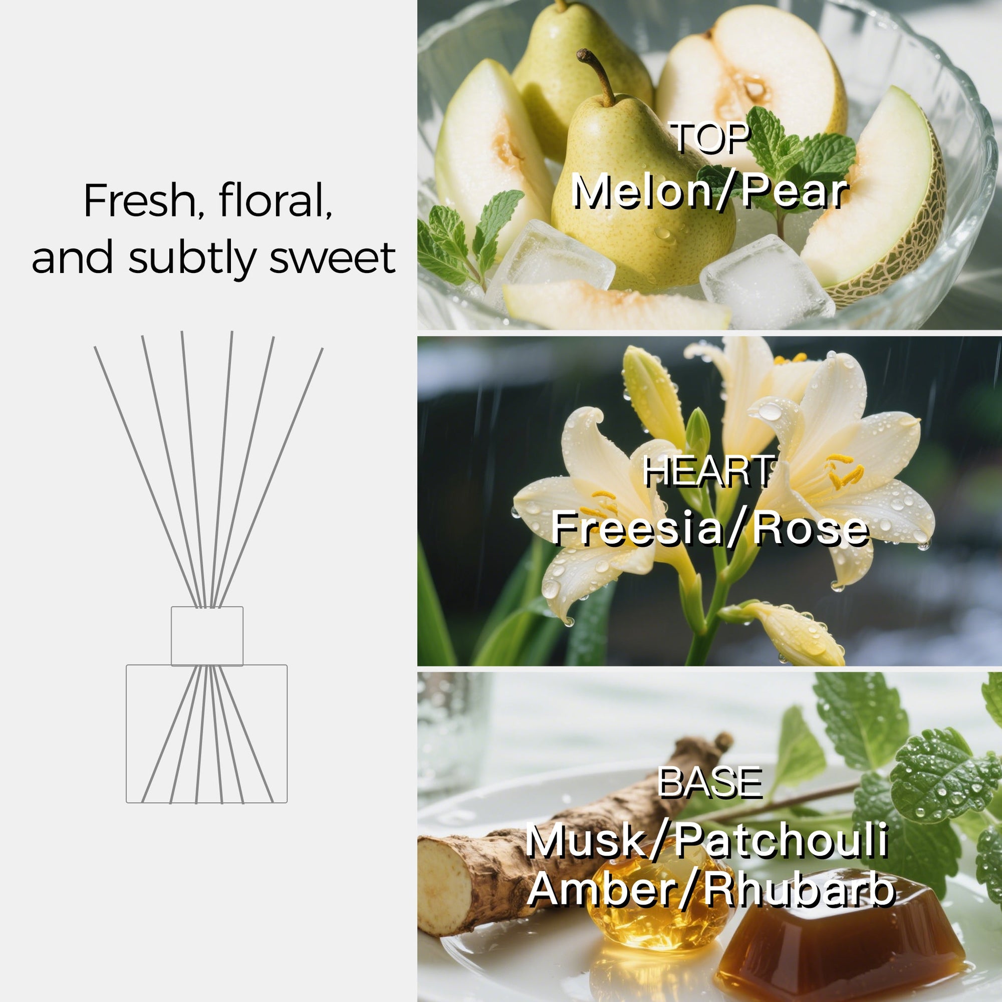 Fragrance pyramid chart for the reed diffuser showing top notes of melon and pear, heart notes of freesia and rose, and base notes of musk, patchouli, amber, and rhubarb.
