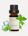 A 10ml amber glass bottle of Vaucluse Peppermint Essential Oil styled with fresh green mint leaves and clear ice cubes to emphasize a crisp, cooling aroma.