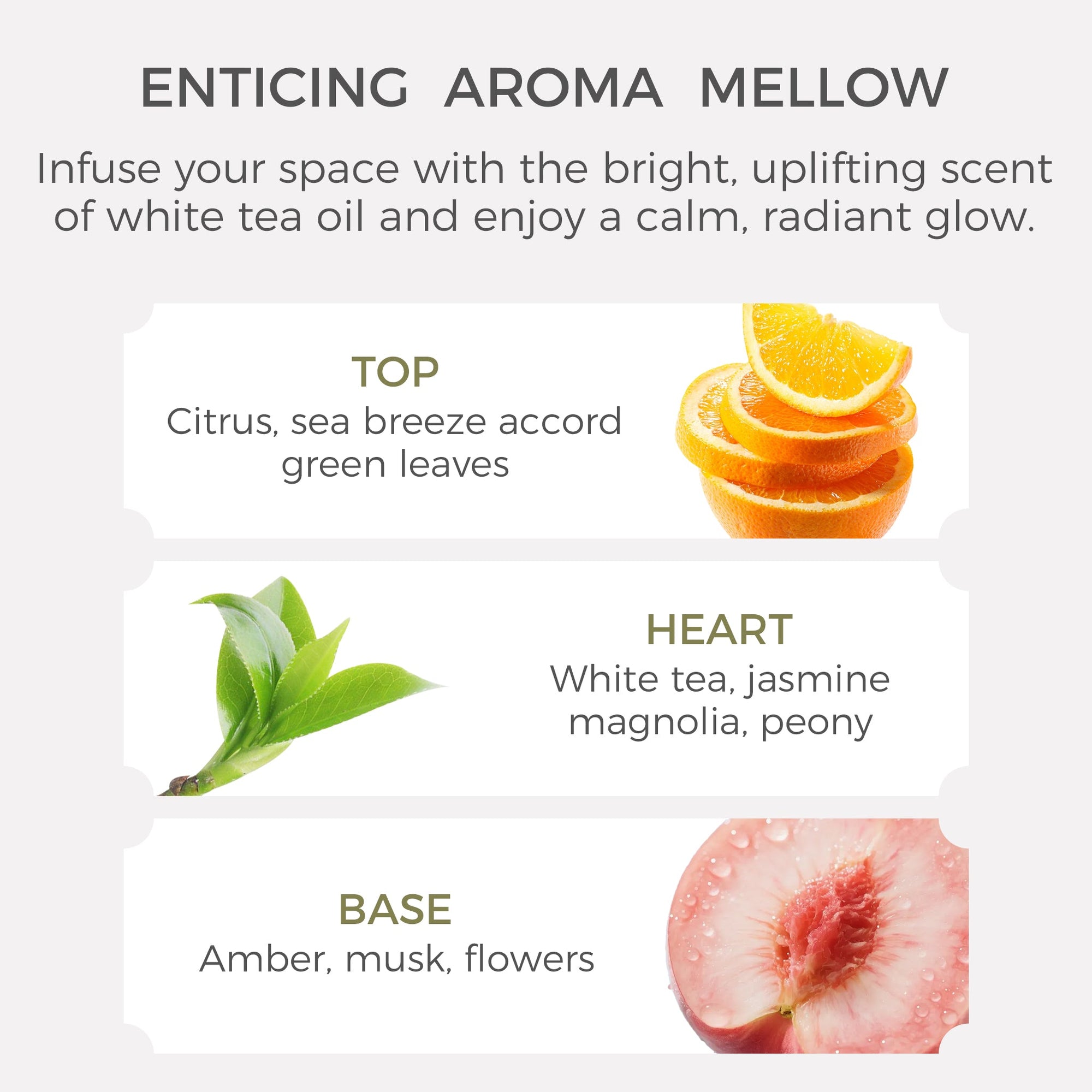 White Tea Essential Oil - 10ml - VAUCLUSE